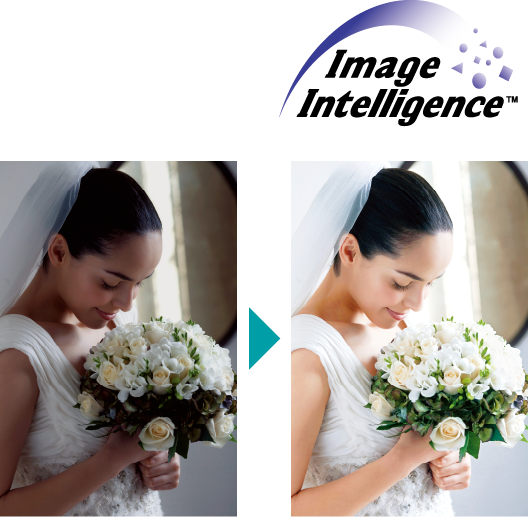 pic_image-ntelligence_08